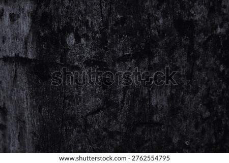 High-contrast macro of dark, weathered tree bark with deep indigo and black tones. The surface features organic decay, mottled textures, and faint vertical scoring in low-light conditions.
