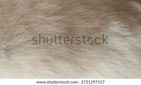 A high-detail, full-frame background featuring the dense, velvety texture of natural fur. The image showcases a seamless blend of ivory, beige, and soft fawn hues, creating a warm and organic aestheti