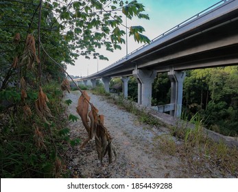 Highest Road In Klang Valley. Rawang Bypass Highway.