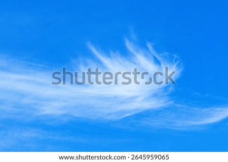 Highest of the ten main categories of clouds, the Cirrus are the highest and composed of thin layers of ice crystals. They are the least likely to effect weather conditions on the earths surface 