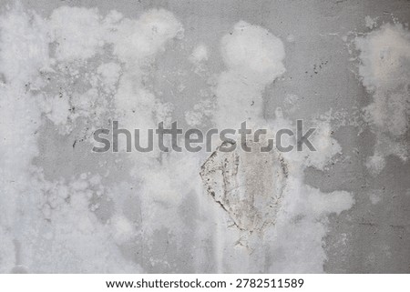 High-Focus Texture Abstract Texture of Damp and Efflorescence on Concrete Surface