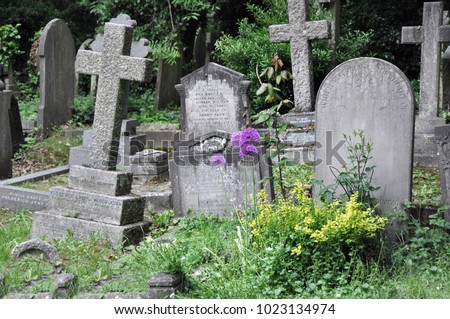 Highgate Cemetary, London. In England you´ll find this fairy tale memorial with its overgrown tombstones. The purple flowers are Alliums. Looking as picked from a scary movie. 