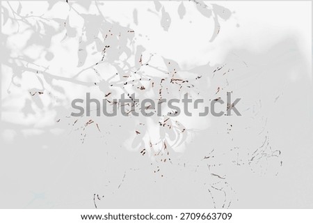 High-key abstract composition of delicate branches and pale leaves, creating a soft, minimal, airy botanical pattern.