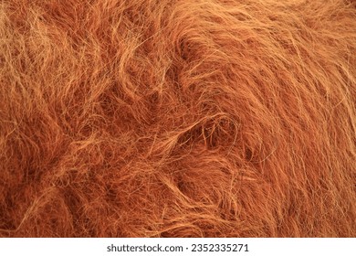 Background Of Texture Woolly Fabric In Soft White Fluff, Fur Background,  Fur, Fur Texture Background Image And Wallpaper for Free Download