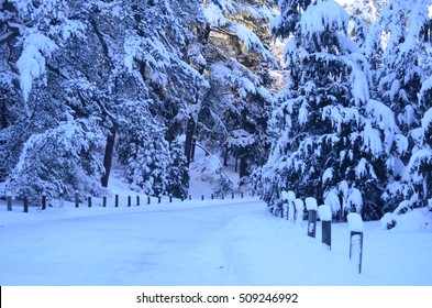 Highland Park Rochester New York In Winter