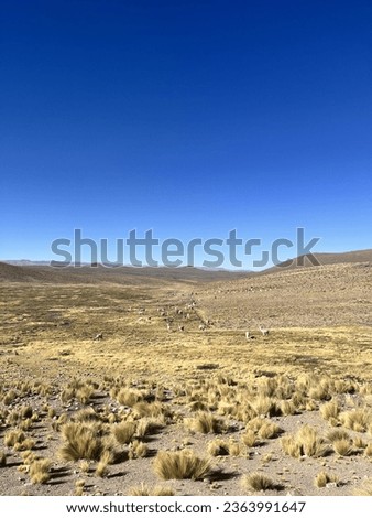 Bolivian Andes Mountain