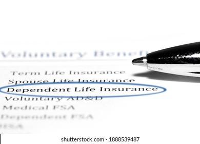 Highlighting Dependent Life Insurance On Annual Benefits Plan Document.