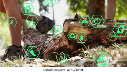 Highlighting fallen decayed log lying on forest edge ground, with AR eco icons and sneakers. Wood, trunk, woodland, outdoor, hikers, shoes, trail