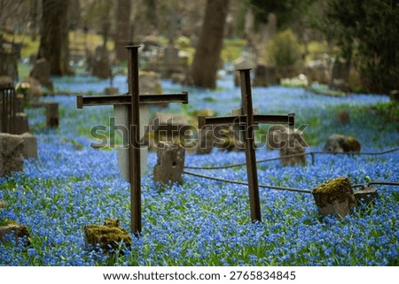 Highly abstract layered composition featuring a metal cross partially revealed through textured overlays, with a soft horizontal band of blue Scilla siberica flowers suggesting a cemetery setting and themes of religion, memory, and fragmentation.