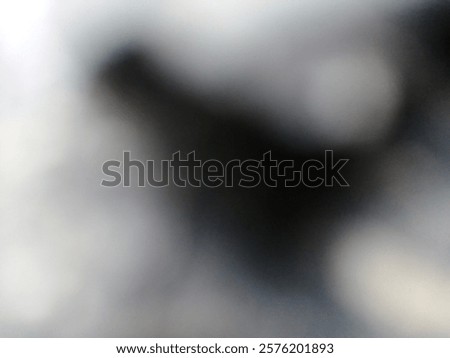 a highly blurred, abstract composition with shades of black, gray, and white. It creates a soft, indistinct, and minimalist aesthetic.