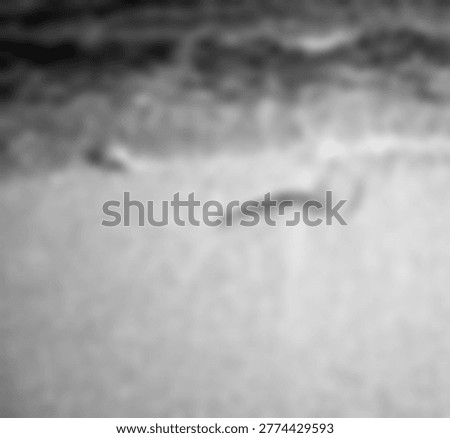 A highly blurred, monochromatic image capturing the ethereal boundary where water meets land, rendered in soft grays and whites. The lack of sharp detail creates an abstract, contemplative mood, hinting at movement and natural forms without clear definition.