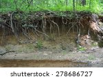 Highly eroded stream riverbank with tree roots exposed from the undercut