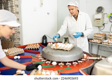 highly qualified group of people who carry out quality control of eggs in chicken farm - Shutterstock ID 2246903693