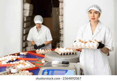 highly qualified group of people who carry out quality control of eggs in chicken farm - Shutterstock ID 2364892067