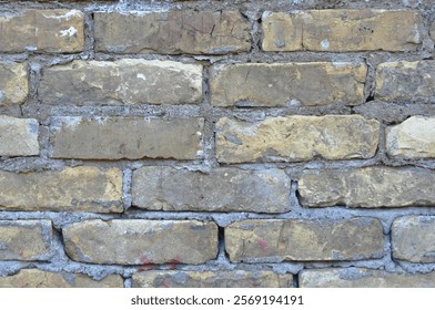 High-Quality Brick Wall Image - Perfect for Textures, Backgrounds, and Design Projects