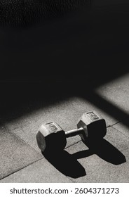 A high-quality dumbbell placed in a gym setting, representing strength, endurance, and fitness. Ideal for weightlifting, bodybuilding, and home workouts. Perfect for sports, health, and gym-related