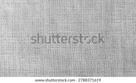 High-quality Gray technical fabric texture with uneven thread thickness, emphasizing the material's authenticity. Uniform frontal lighting makes this photo an excellent source material
