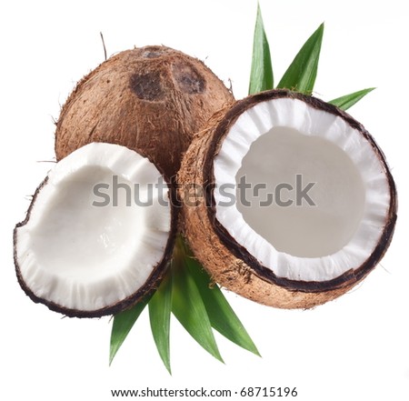 High-quality photos of coconuts on a white background.