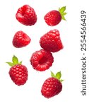 High-Quality PNG Flying raspberries isolated on white background. Sweet ripe fresh delicious raspberry, summer berry, organic food, vitamins – High Resolution