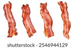 High-Quality PNG of Fried bacon Isolated on White Background – High Resolution