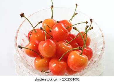 High-Quality "Sato Nishiki" Cherries Produced in Yamagata Prefecture, Japan