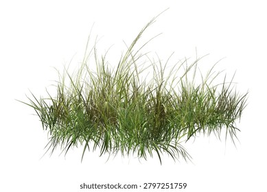 High-quality, sharp isolated clump of green wild grass and weeds on a pure white background. Perfect for architectural rendering, landscape design, and digital collage.