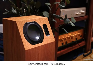 High-quality Speakers, Wooden Cabinets In The Music Room. Hi-Fi Sound System In The Home Music Room. Professional Hi-fi Cabinet Speaker Box.Audio Equipment For Record Studios. Selective Focus.