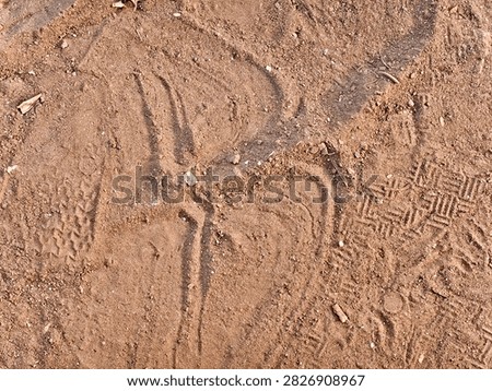 A high-quality texture photograph capturing unique patterns and markings left on a dry, dusty dirt ground surface. The composition prominently features hand-drawn lines or smooth indentations carved directly into the loose, sandy soil, forming an abstract curved shape reminiscent of a heart or a stylized symbol. Interspersed around these smooth markings are distinct, textured geometric patterns left behind by shoe sole prints, indicating recent human activity or foot traffic in an outdoor space. Small pebbles, tiny rock fragments, and bits of dried organic debris are scattered randomly across the frame, adding raw, authentic grit to the surface.The image is captured from an overhead angle under bright, directional natural daylight, which casts subtle, defined shadows inside each indentation. This lighting accentuates the grainy, loose texture of the brown soil and highlights the contrast between the smooth hand-drawn grooves and the geometric patterns of the tire or shoe tread marks. This versatile texture asset offers an excellent background or overlay option for commercial microstock buyers. It is highly suitable for creative designs, book covers, website backdrops, and promotional materials focusing on themes like crime scene forensics, track tracking, outdoor adventures, environmental geology, and abstract sand or dirt artwork