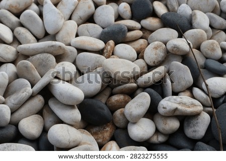 A high-quality top-down image featuring a collection of smooth, rounded river stones in shades of white, grey, and black. This natural pebble texture is ideal for landscaping designs, zen-themed decorations, spa backgrounds, or organic pattern wallpapers. The neutral colors and various shapes create a calm and balanced atmosphere.