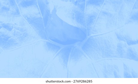 A high-resolution abstract background featuring a soft, light blue leaf texture with detailed macro veins.