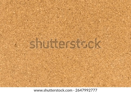 High-Resolution Close-Up of Cork Board Surface Texture