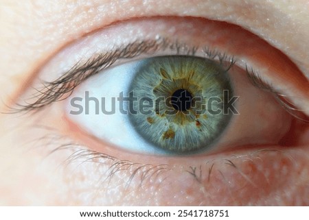 High-resolution close-up of a human eye, showcasing a vibrant green iris with brown flecks, highlighting intricate details of the eye's structure.
