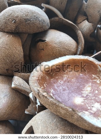 A high-resolution close-up photo of split coconut shells stacked together, showcasing their natural texture and earthy tones. Ideal for themes related to agriculture, sustainability, organic materials, eco-friendly products, renewable resources, coconut processing, handicrafts, and natural backgrounds.