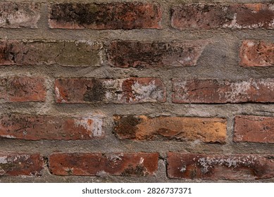 High-resolution close-up texture of an old weathered red brick wall with gray cement mortar joints. Aged rustic masonry background with earthy tones and dark weathering marks.