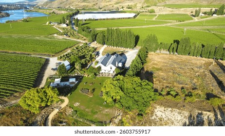 A high-resolution drone shot capturing an expansive vineyard and farmlands with a winding river in the distance. Few houses and trees dot the peaceful agricultural scenery.