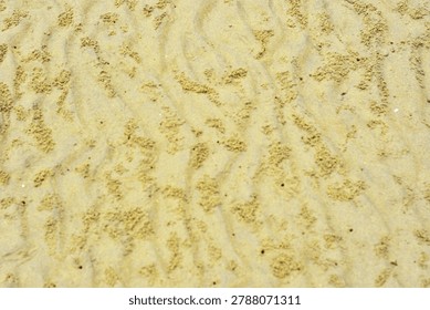 A high-resolution, full-frame top-down abstract view capturing the intricate natural texture of a wet sand bed on a coastal riverbank or beach during low tide. The surface of the fine, yellowish-beige sediment is densely covered with hundreds of tiny, uniform sand pellets and miniature spherical balls. These organic patterns and maze-like structural tracks are created by sand bubbler crabs (Dotillidae family) as they sift through the moist substrate for microscopic nutrients. The composition showcases a detailed contrast between the smooth, undisturbed damp ground and the raised, grainy clusters of crab-processed sand. Shot in soft, natural daylight with a neutral colour profile, the image highlights the delicate, chaotic yet harmonious architecture of marine coastal ecosystems.