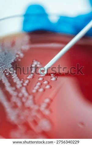 Highresolution Image Capturing Bacterial Growth And Inoculation Process Under Clinical Lighting Conditions