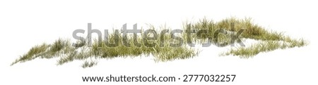 High-resolution image of natural grass clusters isolated on a clean background, featuring sharp details and realistic texture—ideal for landscaping, design, and nature-related projects.