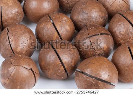 Highresolution image of shiny roasted nuts. Detailed highresolution photo showcasing toasted macadamia nuts with reflective shells and subtle oil sheen for premium marketing