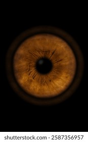 High-Resolution Iris Scan – Brown Eye with Unique Textures