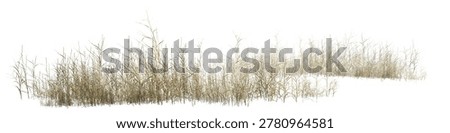 High-resolution isolated dry grass border on white background, sharp focus nature element for architectural visualization and landscape design.