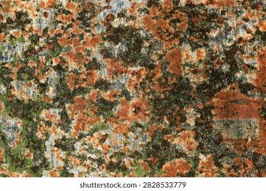 High-resolution macro background texture of heavily rusted iron surface with green moss and lichen growth. Aged rusty metal sheet with vibrant orange corrosion and organic decay.