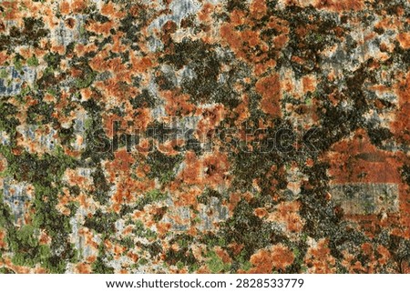 High-resolution macro background texture of heavily rusted iron surface with green moss and lichen growth. Aged rusty metal sheet with vibrant orange corrosion and organic decay.