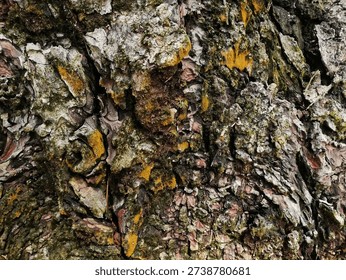 High-resolution macro of weathered tree bark featuring deep cracks, vibrant orange moss, and green lichen. A high-contrast, organic background perfect for rustic textures, 3D modeling, and natural design elements.#BarkTexture #NaturePhotography #MacroTexture #TreeBark #OrganicBackground #RusticDesign #ForestDetail #NaturePatterns #StockPhoto #WeatheredWood