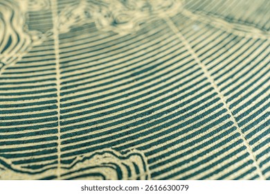 High-resolution microscopic image revealing intricate patterns and details of unseen world, essential for scientific exploration and research