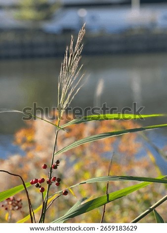 High-resolution nature or landscape image featuring elements of natural beauty. Ideal for backgrounds, blogs, and travel content.