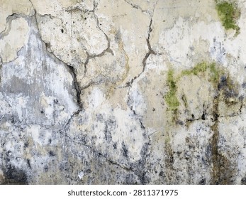 High-resolution texture of an aged concrete wall featuring deep cracks, peeling off-white paint, and patches of green moss growth