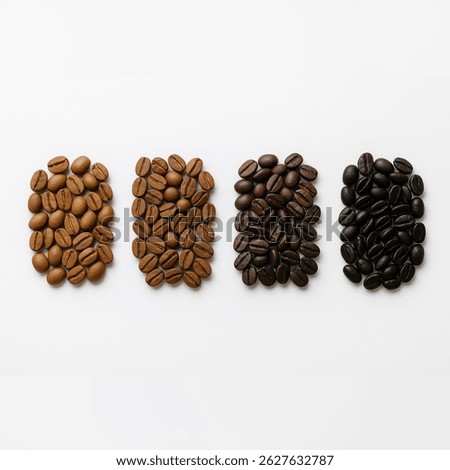 High-resolution top view of four groups of Gayo Aceh coffee beans arranged in a row from light roast to dark roast on a clean white background. 