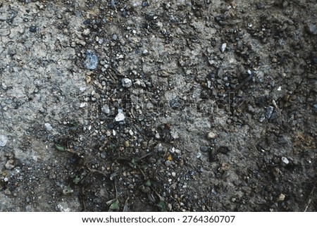 High-Resolution Top-Down Texture of Dry, Gritty Earth and Crushed Stone