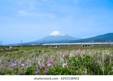 High-speed trains pass through the fields with Mount Fuji in the background.
